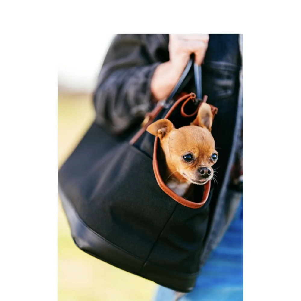 Dog carrier